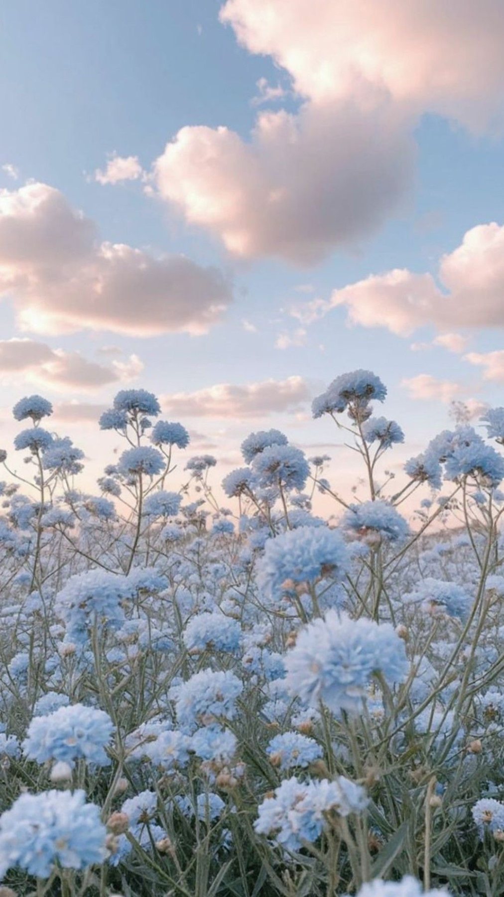Cosy Pastel Sky Photo - free cozy & aesthetic wallpaper